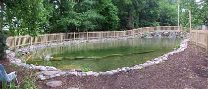 Watergarden pond from the side, a sense of scale